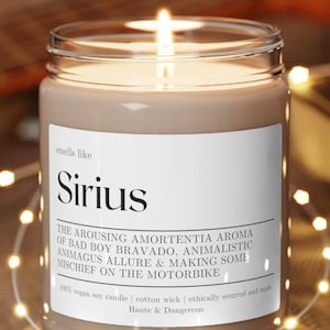 Smells Like Sirius Candle, fan gift, Black Wizard merch, Fictional Men Candles, Wizard School, Funny Candle Gift, Marauder Merch