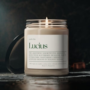 Smells Like Lucius Candle, fan gift, Wizard merch, Fictional Men Candles, Wizard School, Harry Pottery Candle Gift, Dramione Merch
