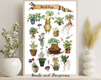 Impresión de gráfico de herbología / Arte de pared imprimible con acuarela botánica mágica / Decoración mágica caprichosa / Descarga digital / Botánica medicinal