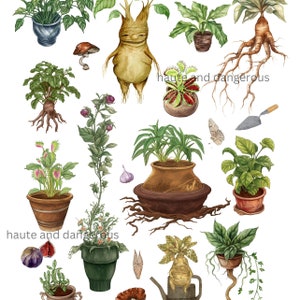 Herbology Chart Print | Magic Botanical Watercolor Printable Wall Art ...