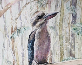 Limited edition print - Kookaburra in a Brisbane Garden