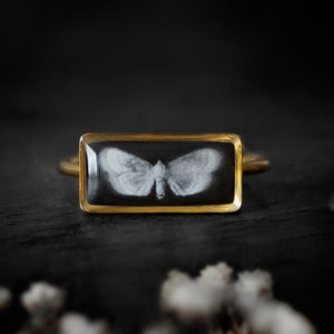 Gothic white moth on dark ring, Victorian jewelry, Goth jewelry, Moths jewelry, Black and white painted ring, Crimson Peak, Weird ring