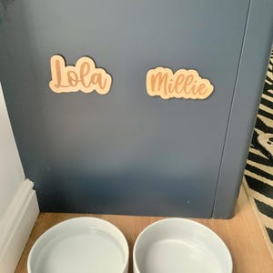 Laser Etched Wooden Pet Name Plaque: Puppy Gift