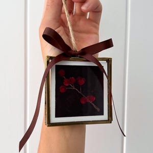 May include: A square glass frame with a thin brass border containing a pressed red berry branch on a black background. The frame is suspended by a natural jute twine loop and is decorated with a dark brown satin ribbon tied in a bow at the top.