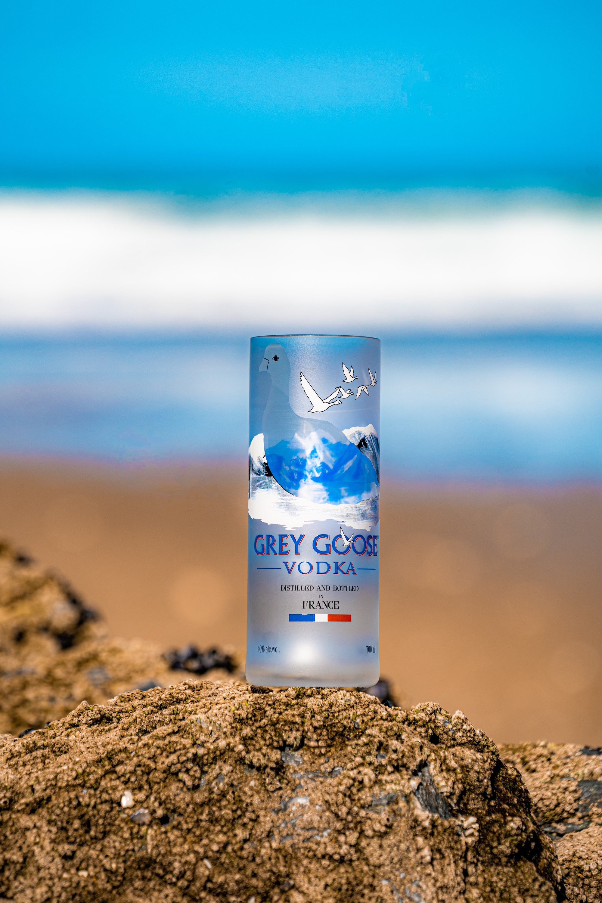 Grey Goose Vodka Gift Set - 60+ Gift Ideas for 2026