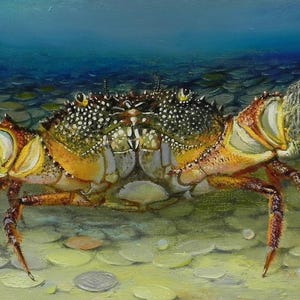 Funny Crab Painting Original Oil on Canvas Unique Sea Life Art Marine Animal Wall Decor 40x20 cm Gift Idea