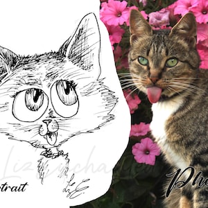 Cartoon Pet Portraits! - Animal Caricature - Custom Cat Drawing - Custom Dog Art