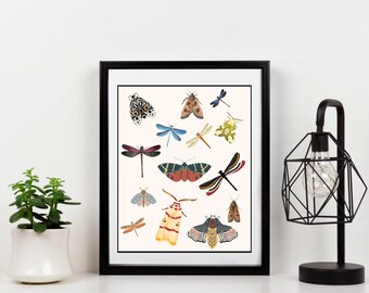 Dragonfly and Moth Print – Vintage Insect Art, Gallery Wall (Digital Download)