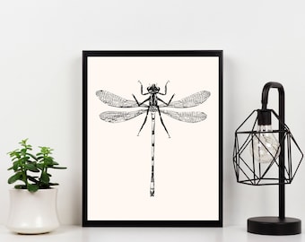 Dragonfly Sketch Print – Vintage Insect Art (Digital Download)