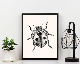 Ladybug Sketch Print – Insect Art, Gallery Wall (Digital Download)