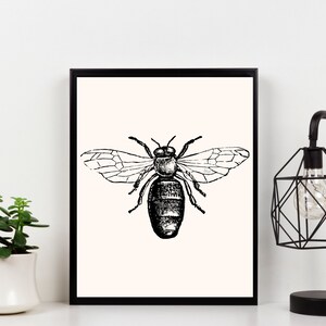 Bee Apothecary Drawing - Queen Bee Print -  Download and Print, Printable Art - Insect Sketches -Mix and Match Gallery Wall - Bug Art