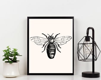 Queen Bee Sketch Print - Insect Art, Gallery Wall (Digital Download)
