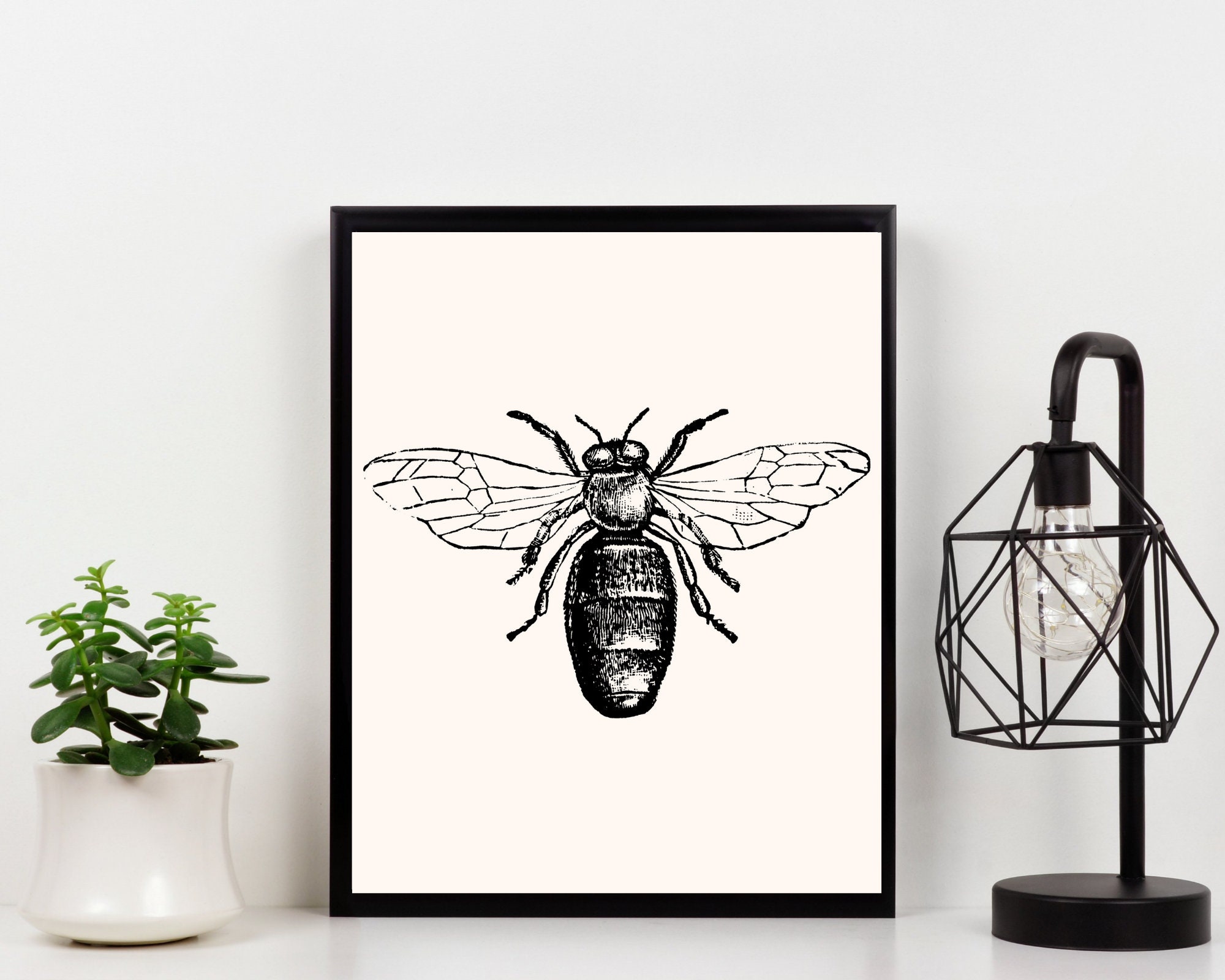 Bienen Apotheker Zeichnung Queen Bee Print Download und