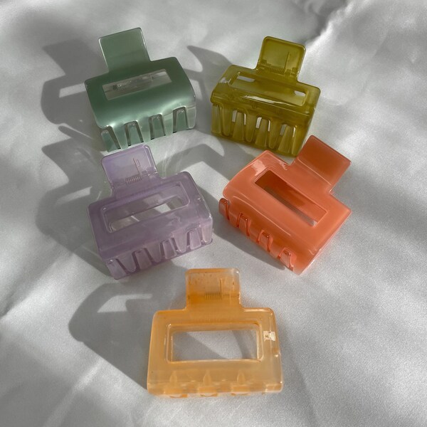 Pastel Coloured Claw Clips