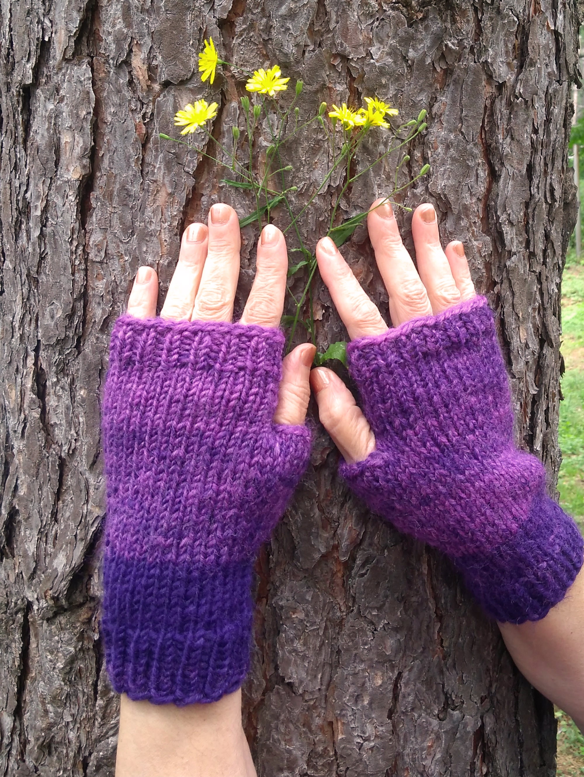 The Raven Writing Gloves Fingerless Gloves Cotton, Arm Warmers