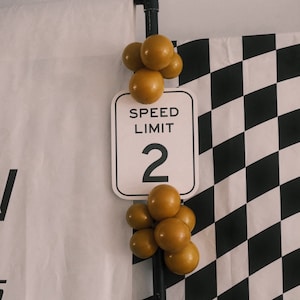 Editable Race Car Birthday Speed Limit Sign (Digital Printable)