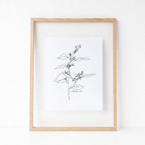 Seeded Eucalyptus Line Drawing, Botanical Illustration, Printable Minimal Wall Art, Digital File, 8x10, 9x12, 11x14, 16x20, 18x24, 20x30