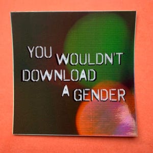Holographic Gender Sticker Funny LGBTQ Trans 2000s Nostalgia Y2K