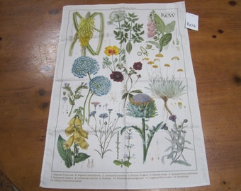 KEW GARDENS Botanical illustration tea towel England New with tags