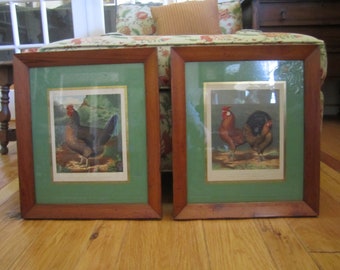 Vintage Cassell's Poultry Book gorgeous frames pair of hen prints