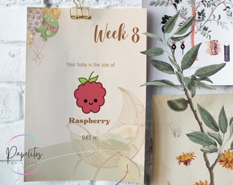 Printable Pregnancy Calendar – Weekly Fruit-Size Baby Tracker | PDF 8.5×11 Digital Download