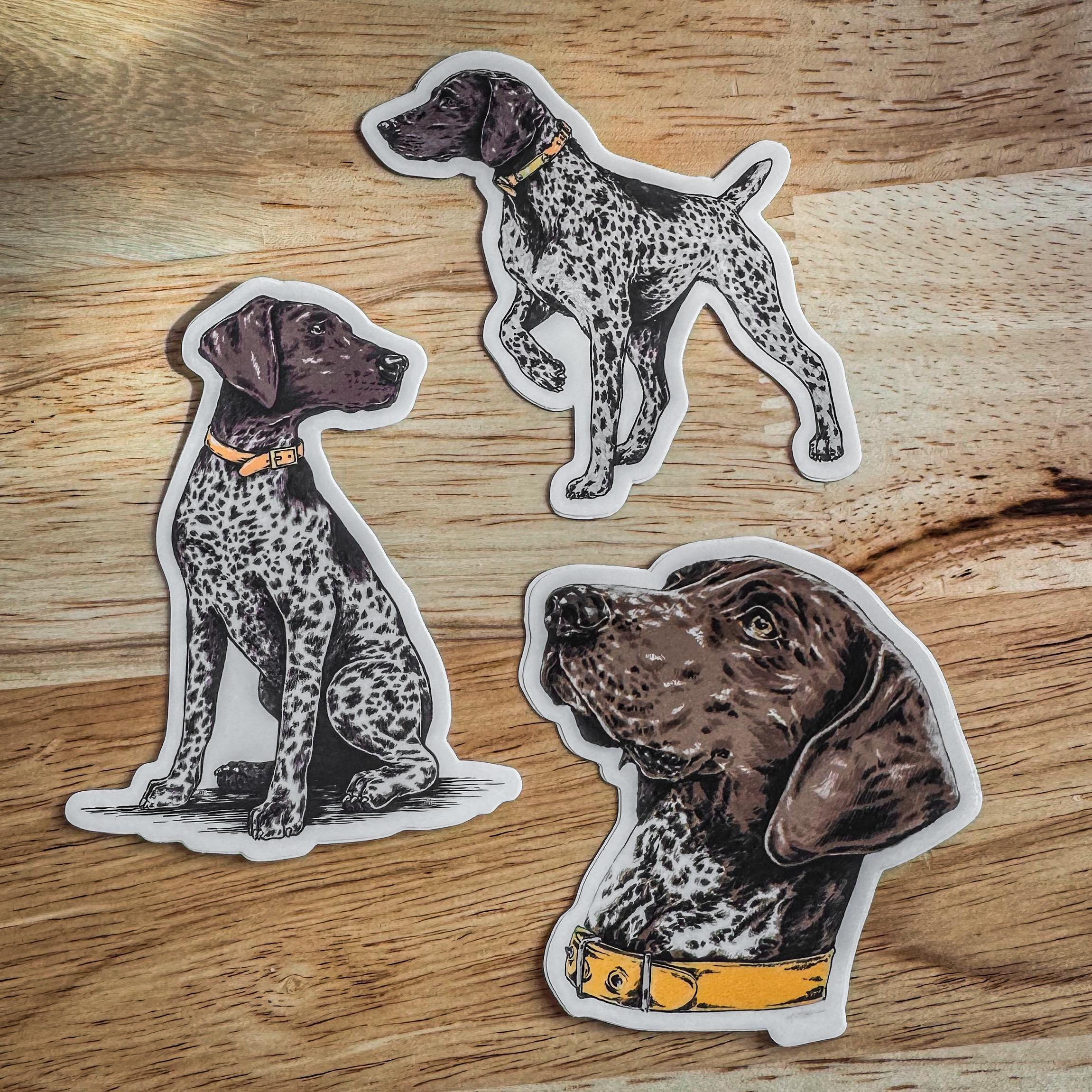 German Shorthair Pointer Sticker or Print - Etsy