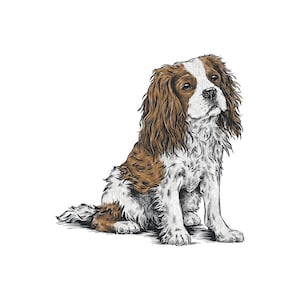 Cavalier King Charles Spaniel Sticker
