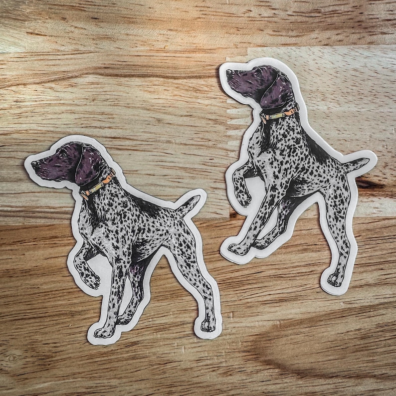 German Shorthair Pointer Sticker or Print - Etsy