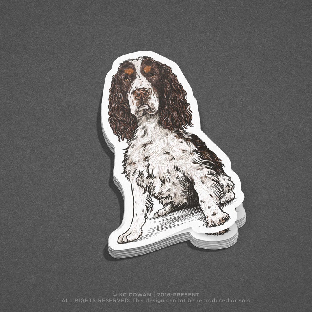 English Springer Spaniel Sticker - Etsy