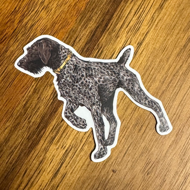 Drahthaar-wire Haired Pointer Sticker - Etsy