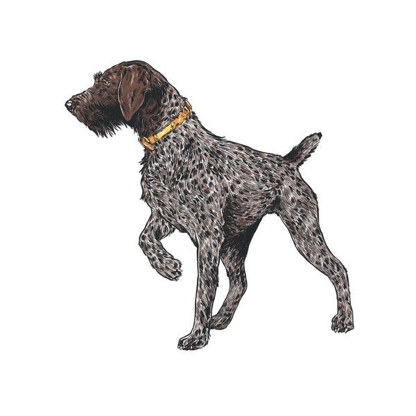 German Wirehaired Pointer Sticker