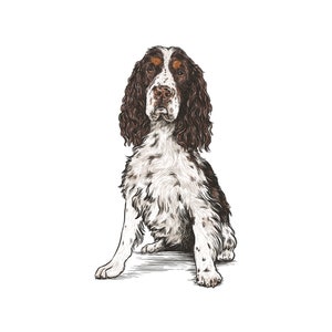 English Springer Spaniel Sticker