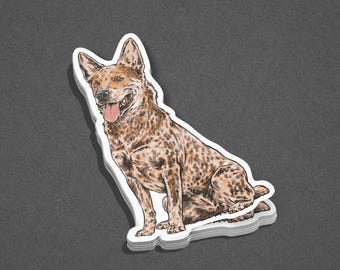 Red Heeler Sticker