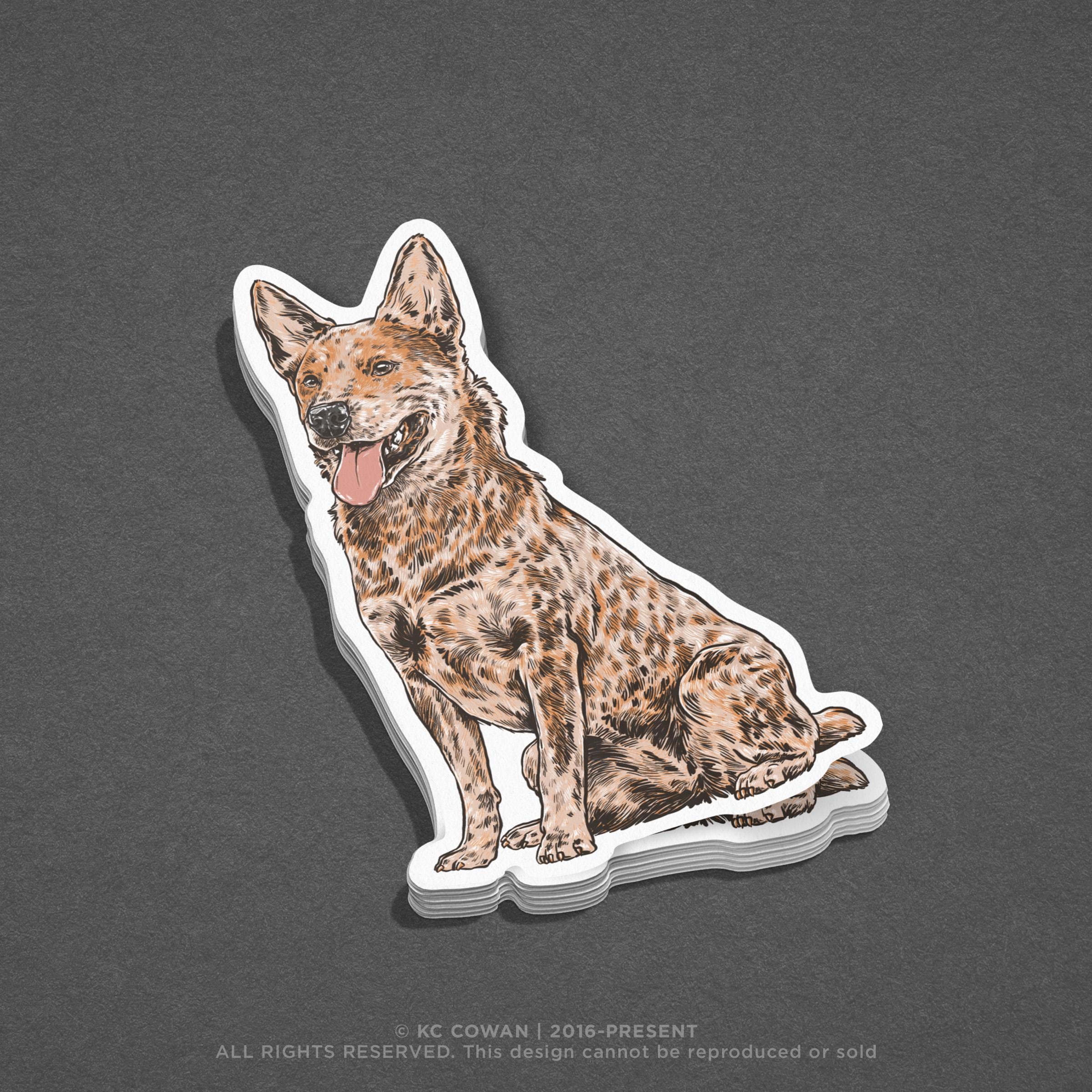 Red Heeler Sticker - Hand-drawn Design - Etsy