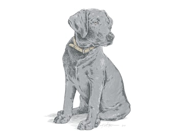 silver lab gifts