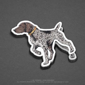German Shorthair Pointer Sticker or Print
