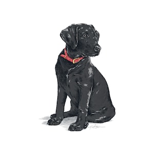 Black Labrador Sticker