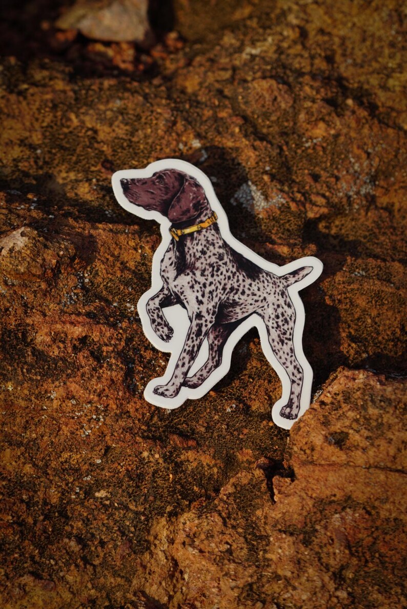 German Shorthair Pointer Sticker or Print - Etsy