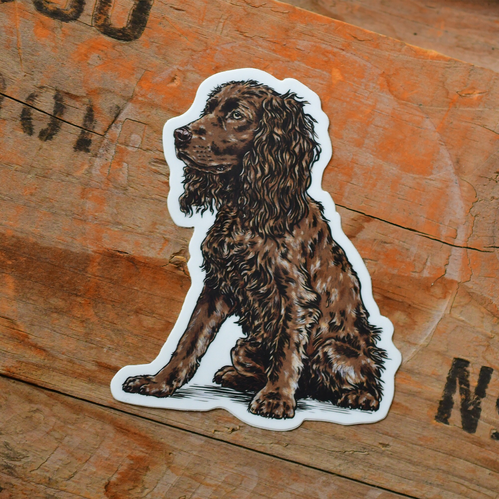 Boykin Sticker Etsy