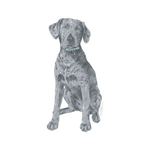 Silver Labrador II Sticker