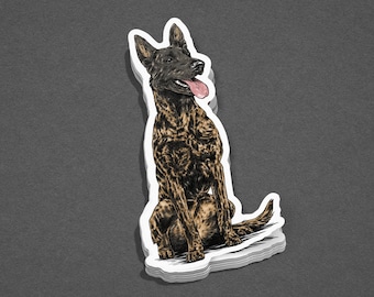 Dutch Shepherd Sticker or Print