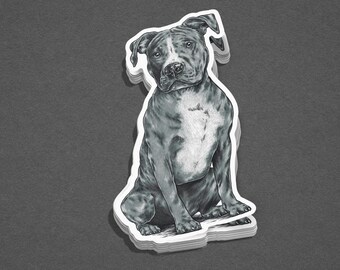 Pitbull Sticker - Blue