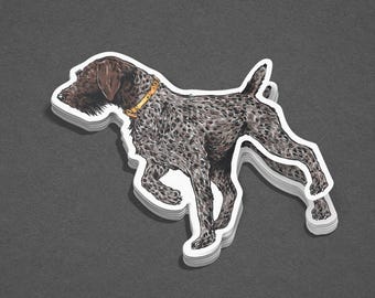 Drahthaar-Wire Haired Pointer Sticker