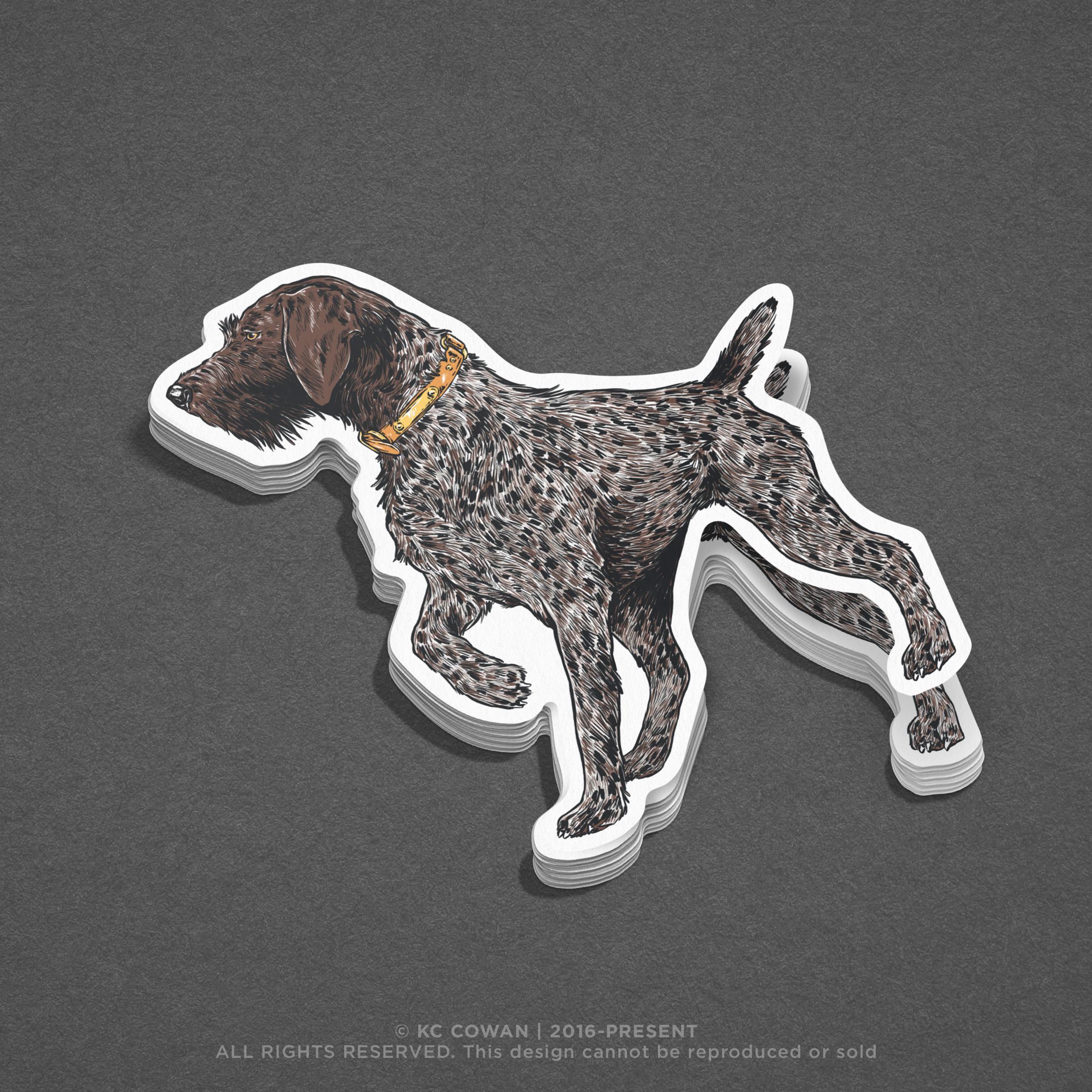 Drahthaar-wire Haired Pointer Sticker - Etsy