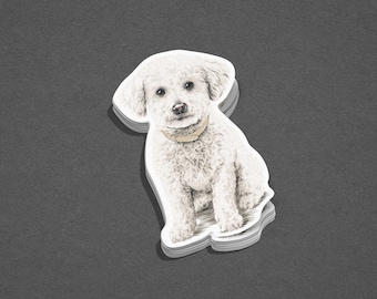 Bichon Frise Sticker