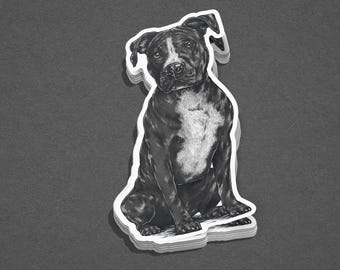 Pitbull Sticker - Black