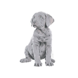 Silver Labrador Puppy Sticker