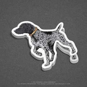 Black German Shorthair Pointer Sticker or Print