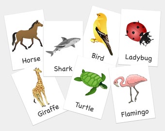 Tarjetas de animales - Tarjetas imprimibles - Animales e insectos - Aprendizaje para bebés y niños - Juego de 75