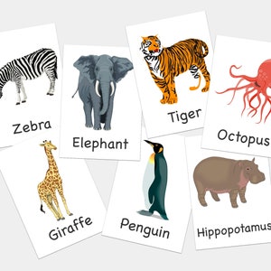 Zoo Animal Flashcards - Printable Flashcards - Learning for Babies and Kids - Set of 46